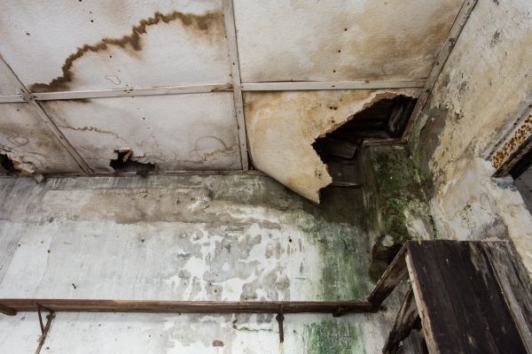 Water Damage Service in Ormond Beach