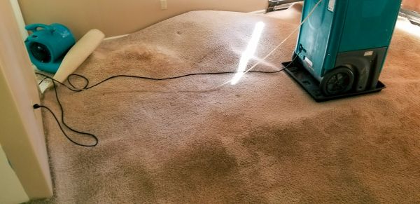 Flood Damage Cleanup in Ormond Beach