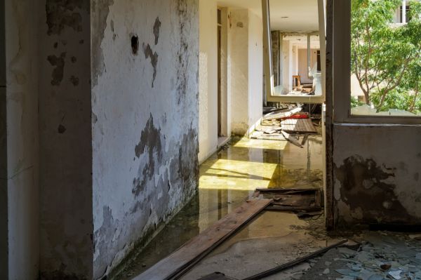 Water Removal Service in Ormond Beach