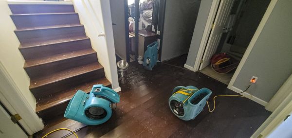 Water Damage Remediation in Ormond Beach
