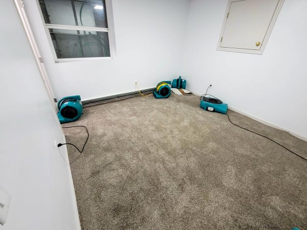 Flood Restoration Service in Ormond Beach
