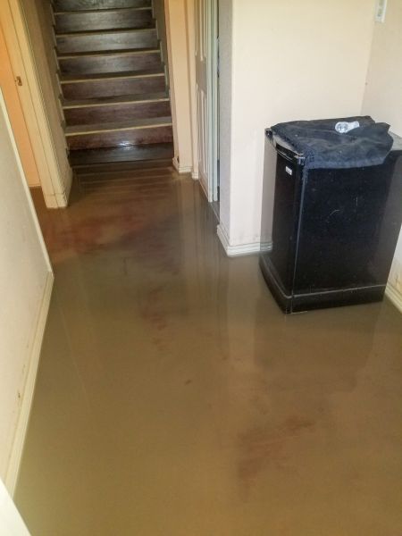Emergency Water Removal in Ormond Beach