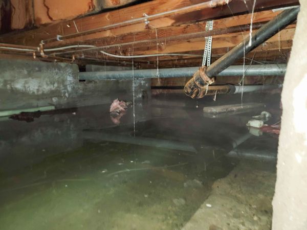 Crawlspace Water Restoration in Ormond Beach